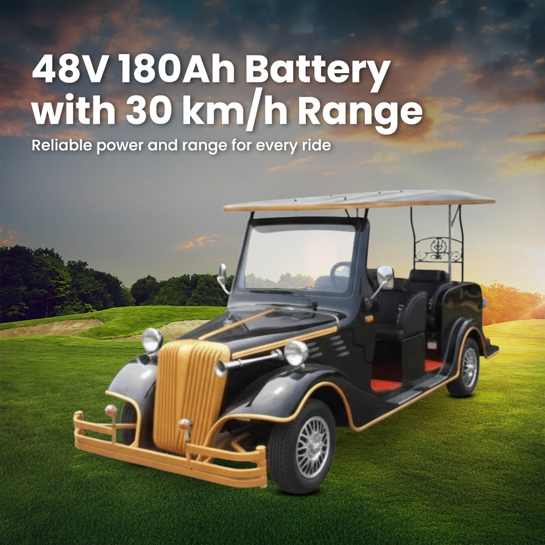 Electric golf cart about battery specifications