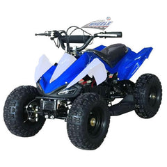 Blue 49CC Mini Quad Sports Bike