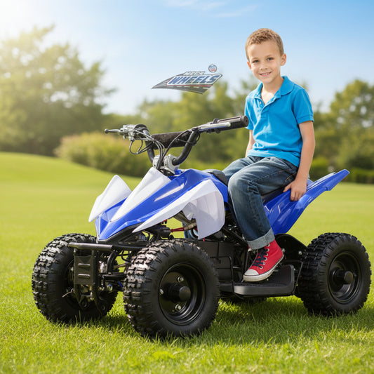 Electric Bike Mega wheels Mini ATV Quad
