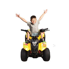 ATV Quad Bike 80CC Tornado