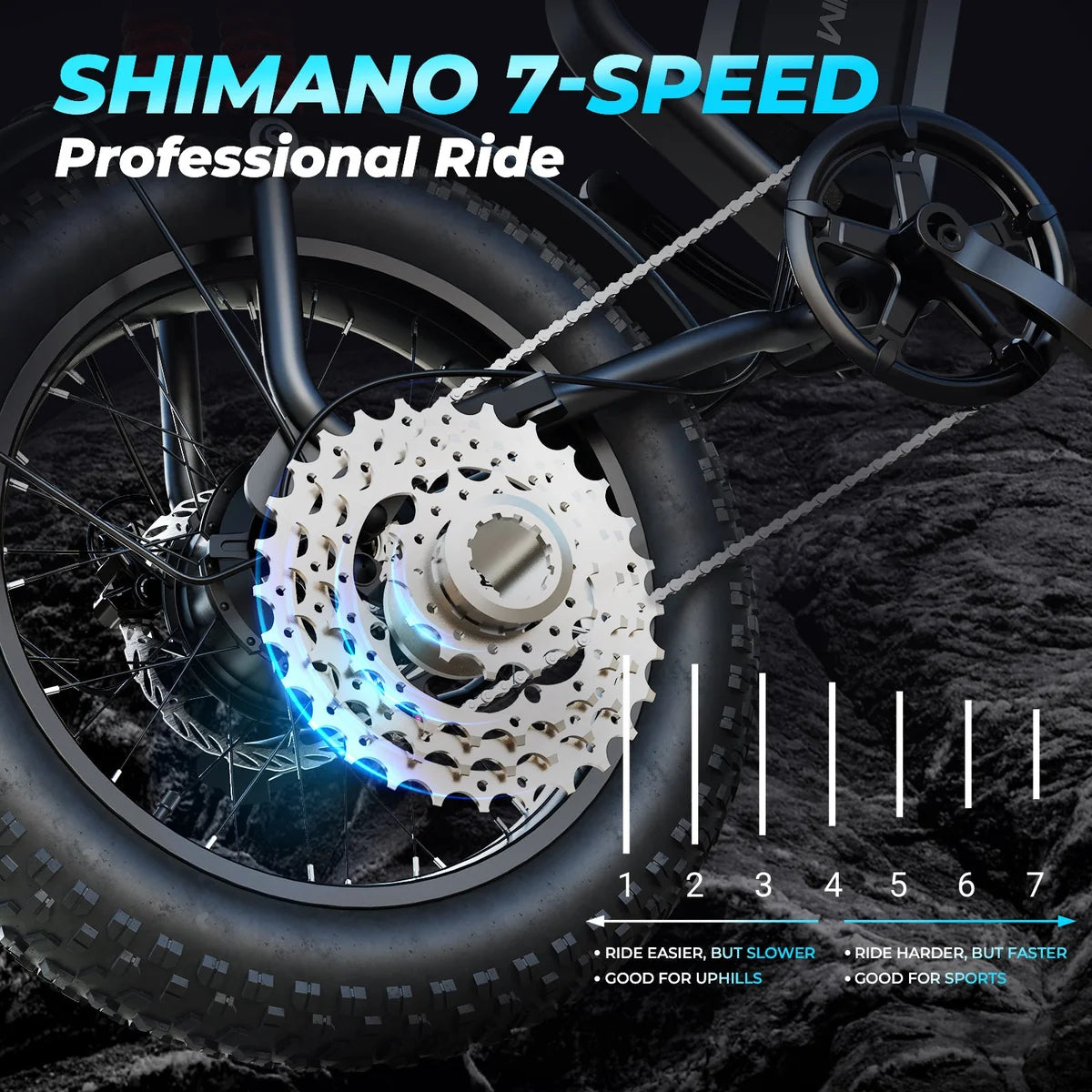 WindHorse V8 Pro 750W Fat Tire Electric Bike Shimano 7 speed proffesional ride
