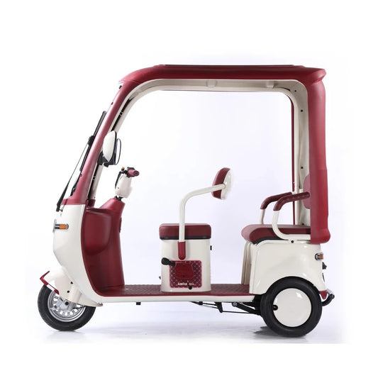 Electric Tricycle Buying Guide UAE | Gulf Buggy