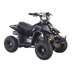 ATV Quad Bike off road 110CC Kids