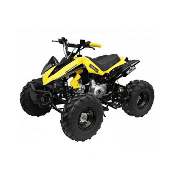 Mega Wheels 125 cc Panther Atv Quad Bike with Reverse