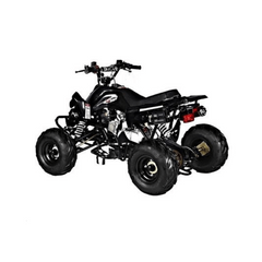 Mega Wheels 125 cc Panther Atv Quad Bike with Reverse/Without Reverse