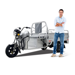 125 cc Cargo Tuk Tuk 3 wheels Fuel Scooter