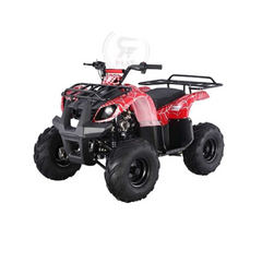 ATV Quad Bike Grizzly 150CC