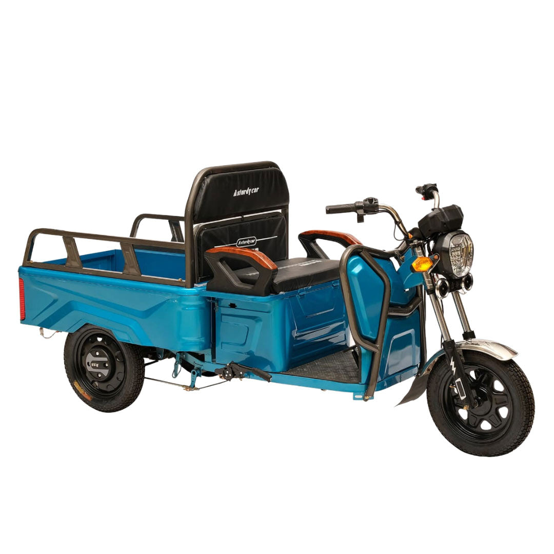 Megawheels 3 Wheeler Electric Utility Cargo Tricycle with Trolley