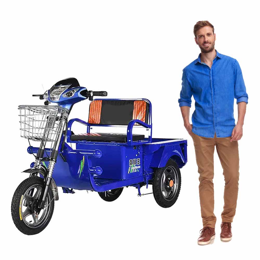 Megawheels 800w Electric Cargo Motorcycles Tricycle 1.2 Mtr