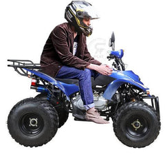 Powerwheels ATV quad Bike King Quad 250 cc Fully Automatic