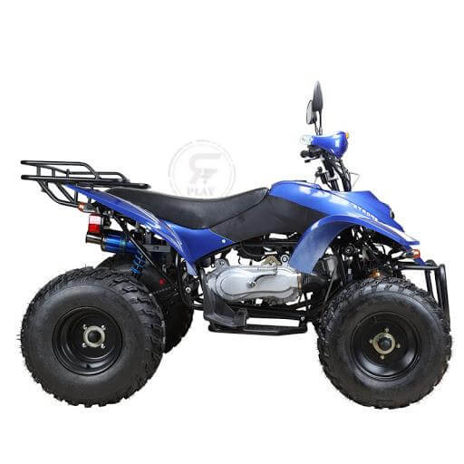 Powerwheels ATV quad Bike King Quad 250 cc Fully Automatic