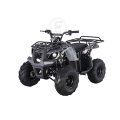 ATV Quad Bike Grizzly 150CC