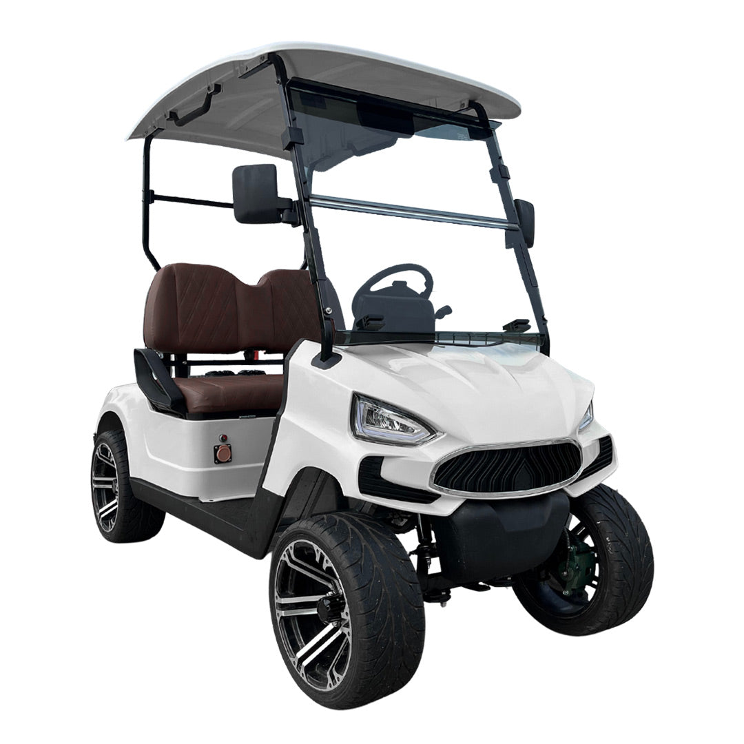 Green Rider Electric Golf cart Buggy 2 seater