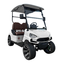 Green Rider Electric Golf cart Buggy 2 seater