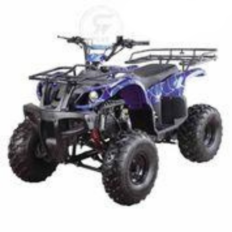 ATV Quad Bike Grizzly 150CC