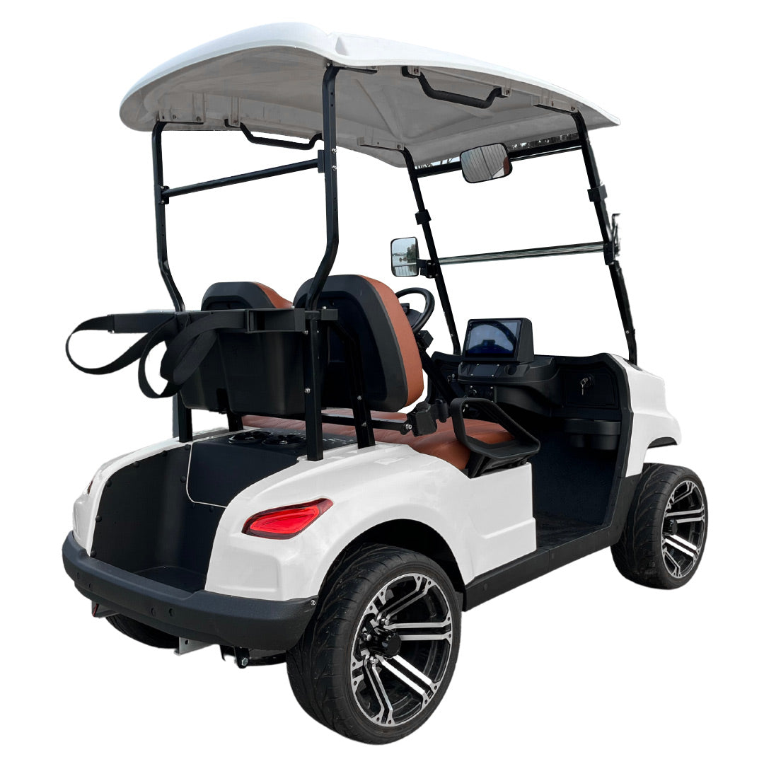 Green Rider Electric Golf cart Buggy 2 seater