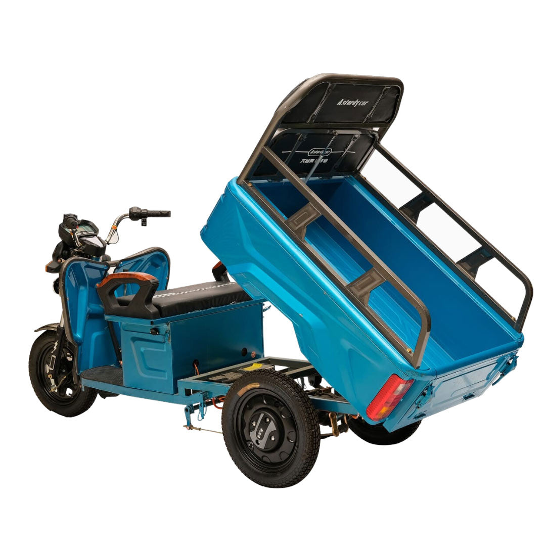 Megawheels 3 Wheeler Electric Utility Cargo Tricycle with Trolley