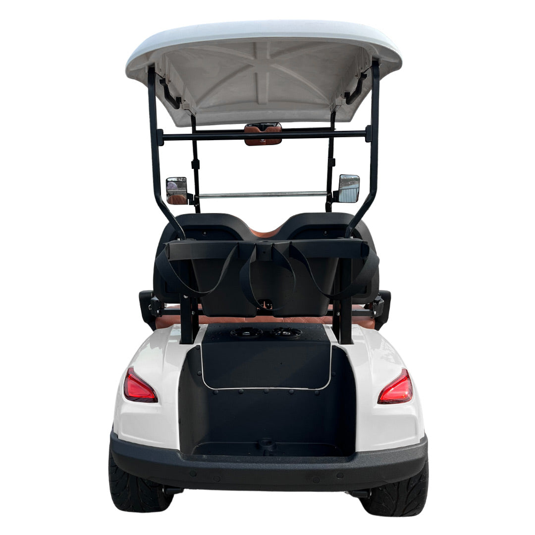 Green Rider Electric Golf cart Buggy 2 seater