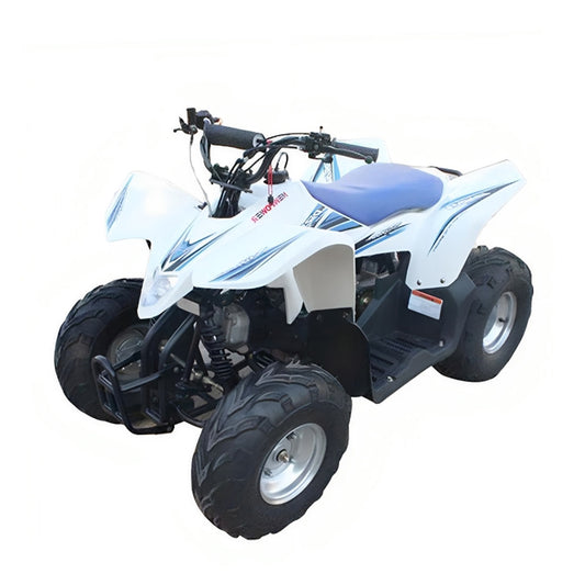 Megawheels ATV Quad 200CC Off Road Beast Bike Fully Automatic with Reverse at Gulf Buggy