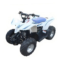 Megawheels ATV Quad 200CC Off Road Beast Bike Fully Automatic with Reverse at Gulf Buggy