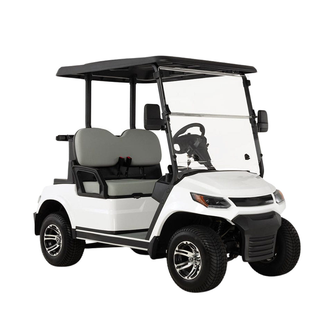 Gulf Buggy LVT Electric Golf Cart Buggy 2-Seater Experience