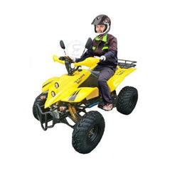 Powerwheels ATV quad Bike King Quad 250 cc Fully Automatic