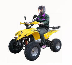 Powerwheels ATV quad Bike King Quad 250 cc Fully Automatic