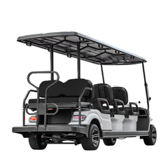 black 8 seater Keon Electric Golf Cart and canopy