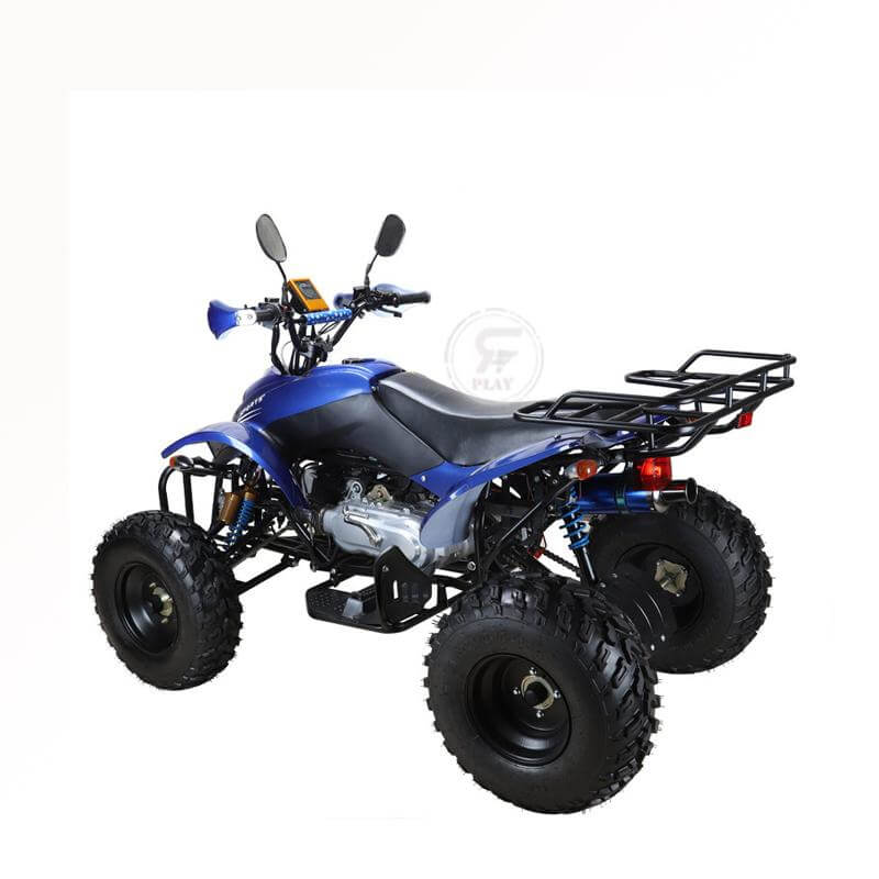 Powerwheels ATV quad Bike King Quad 250 cc Fully Automatic