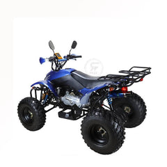 Powerwheels ATV quad Bike King Quad 250 cc Fully Automatic