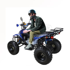 Powerwheels ATV quad Bike King Quad 250 cc Fully Automatic