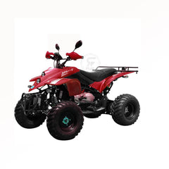 Powerwheels ATV quad Bike King Quad 250 cc Fully Automatic