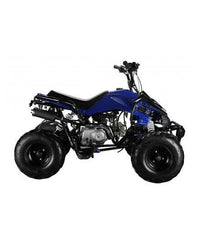 ATV Quad Off Road 125CC Panther Powerwheels Bike with Reverse at Gulf Buggy