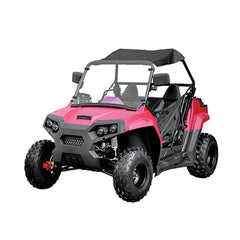 200 cc utv buggy 2 seater off road