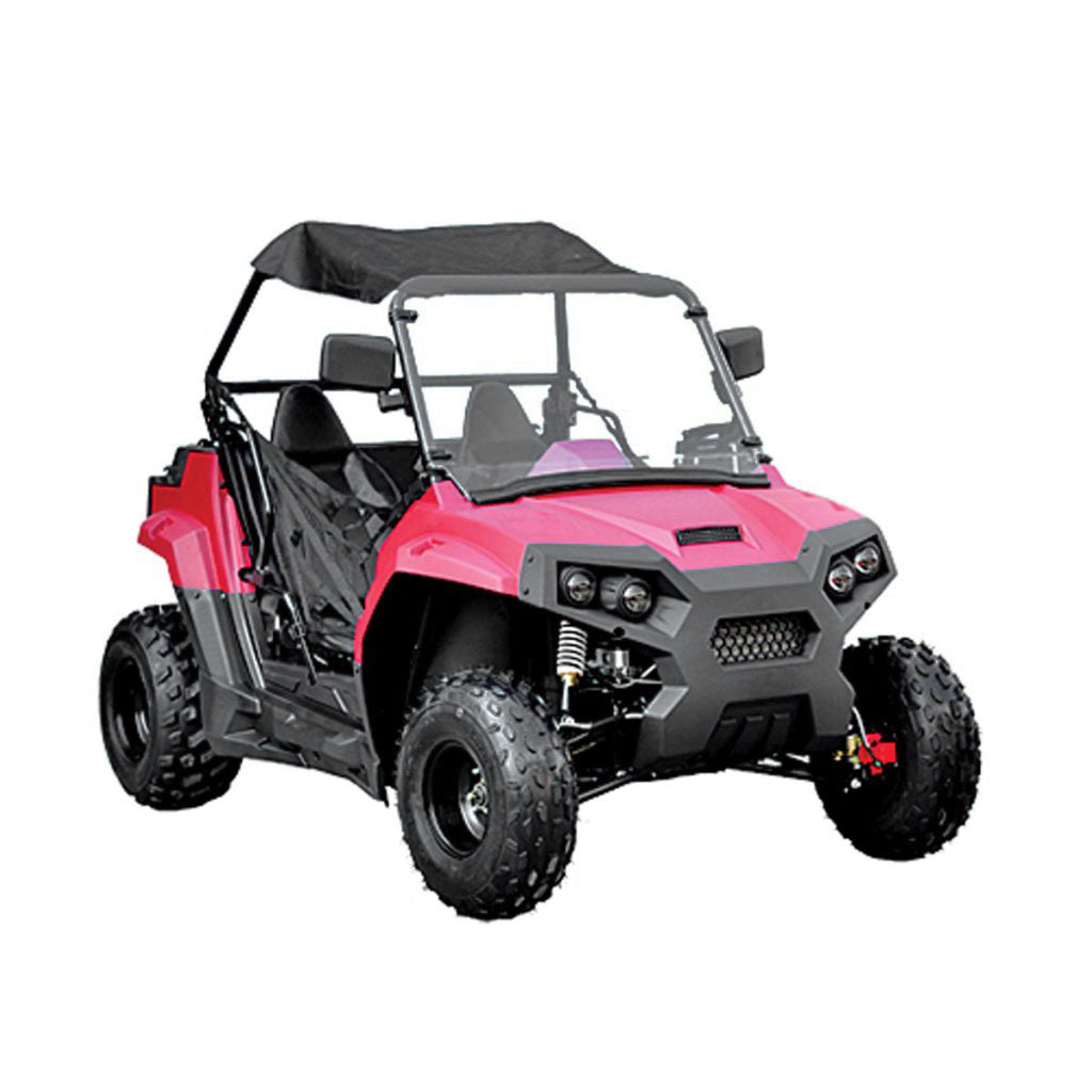 200 cc utv buggy 2 seater off road