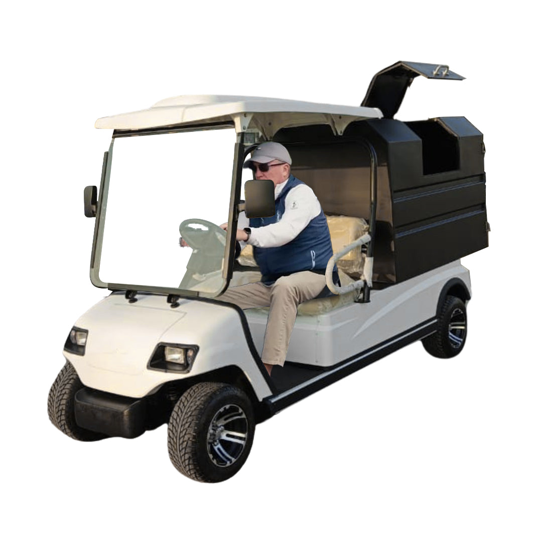 Megawheels Lvt 2 Seater Golf Cart With Solid Garbage Waste Disposal Box at Gulf Buggy