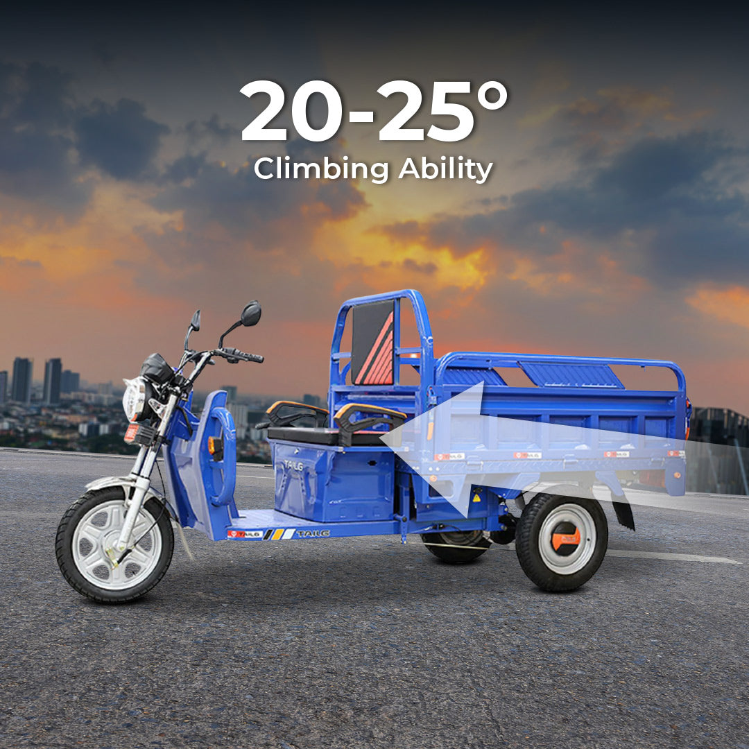electric Cargo bike