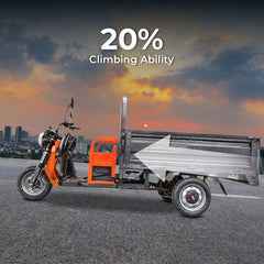 Electric scooters