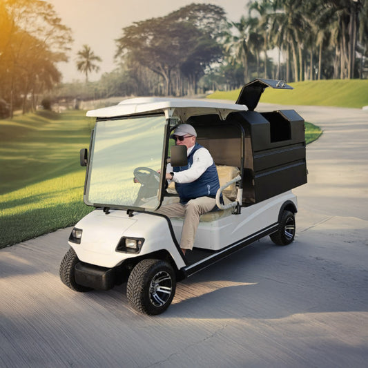 Megawheels Lvt 2 Seater Golf Cart With Solid Garbage Waste Disposal Box at Gulf Buggy