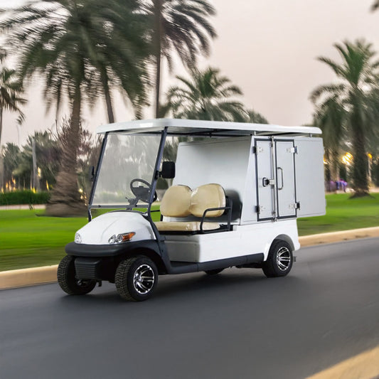 Gulf Buggy Food Xpress Golf Cart 2 Seater for Food Storage Golf Buggy