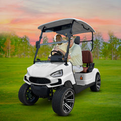 Green Rider Electric Golf cart Buggy 2 seater