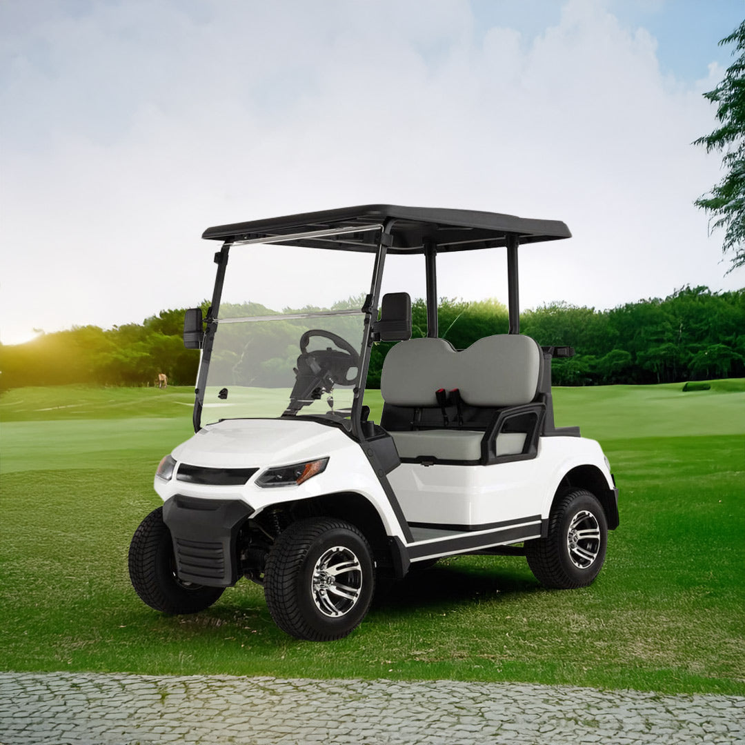 Gulf Buggy LVT Electric Golf Cart Buggy 2-Seater Experience