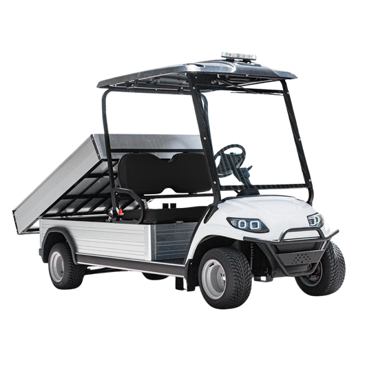 2-Seater Electric Utility Cargo Vehicle Long Cargo Box and Lithium Battery