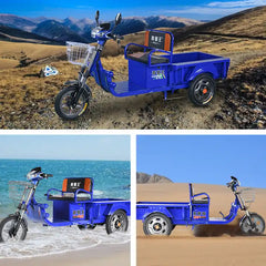 Megawheels 800w Electric  Cargo Motorcycles Tricycle