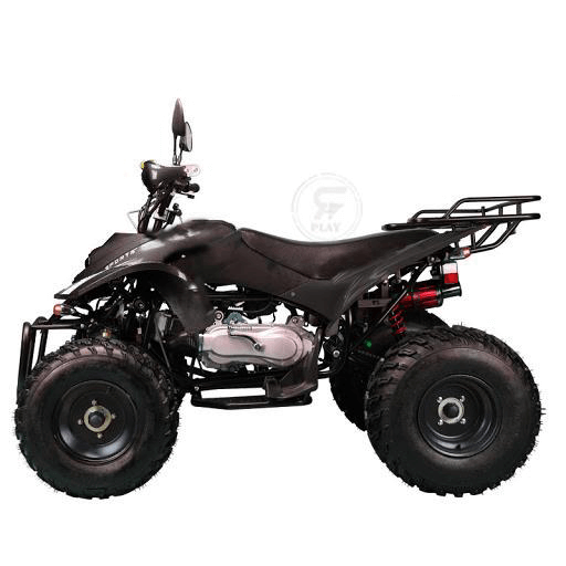 Powerwheels ATV quad Bike King Quad 250 cc Fully Automatic