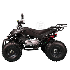 Powerwheels ATV quad Bike King Quad 250 cc Fully Automatic