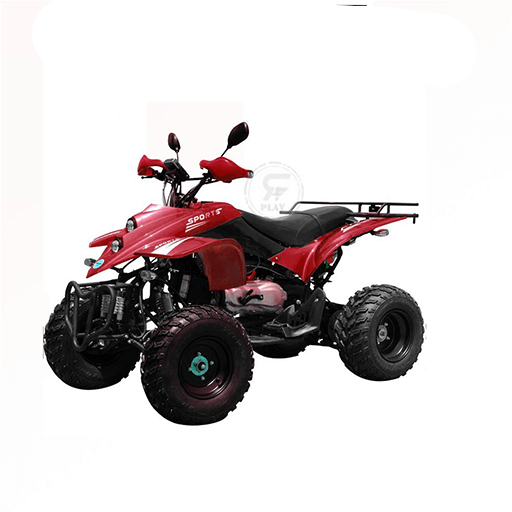 ATV Quad Bike off road King 250CC