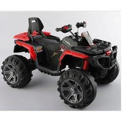 Raf Predator 12v Kids Electric Ride on Beach Quad Bike for kids - rafplay