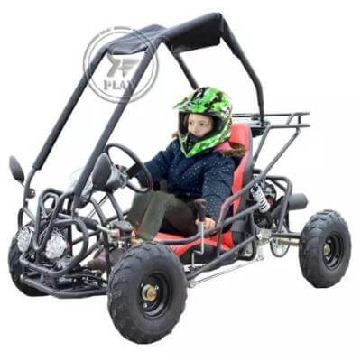 RAF Off Road Fuel Go Kart Buggy 110 cc