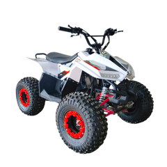 Megawheels 80 cc Atv Quad Bike  4 wheels for 5-10 yr old- red